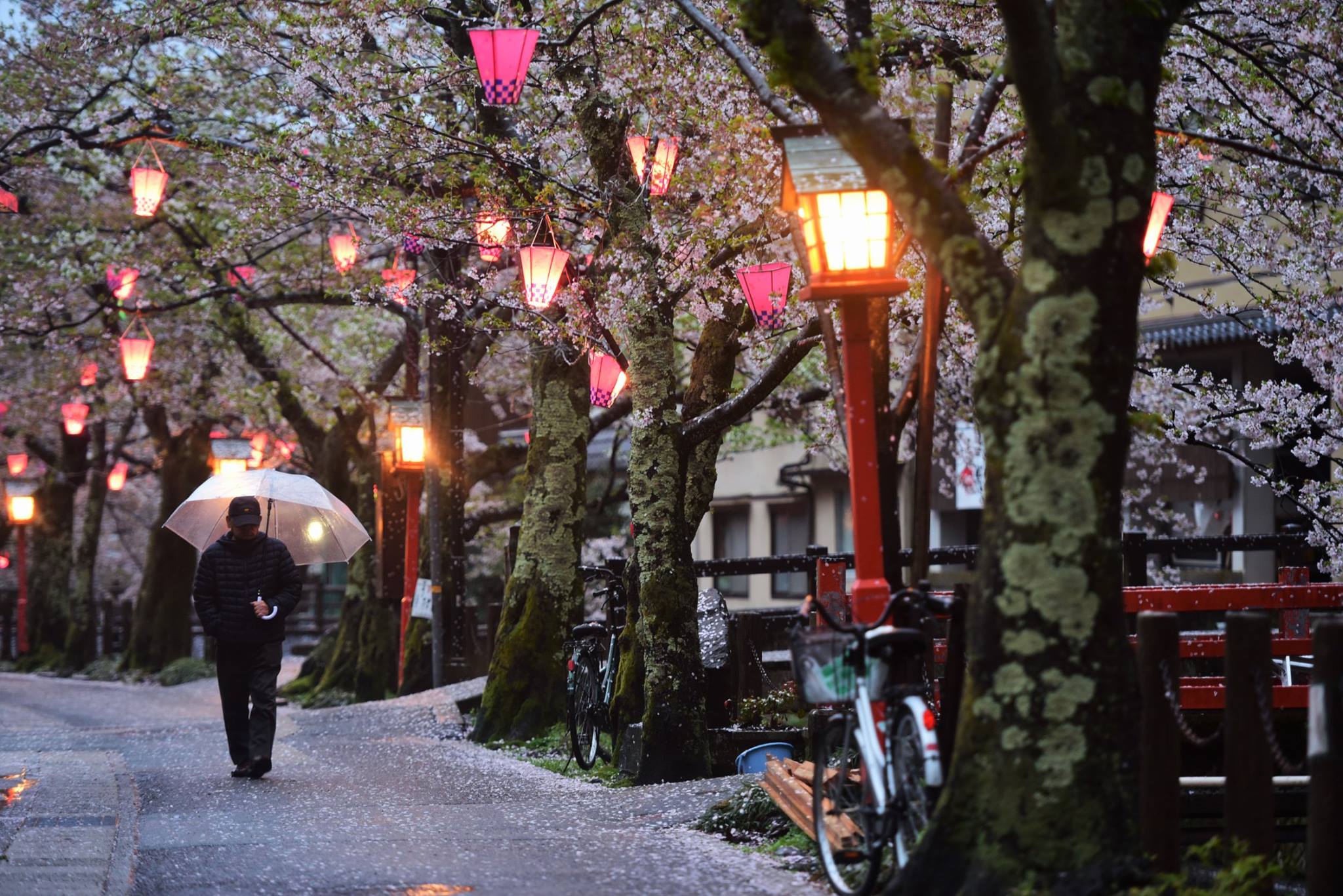 35701236_1995852730743715_6188703649087094784_o