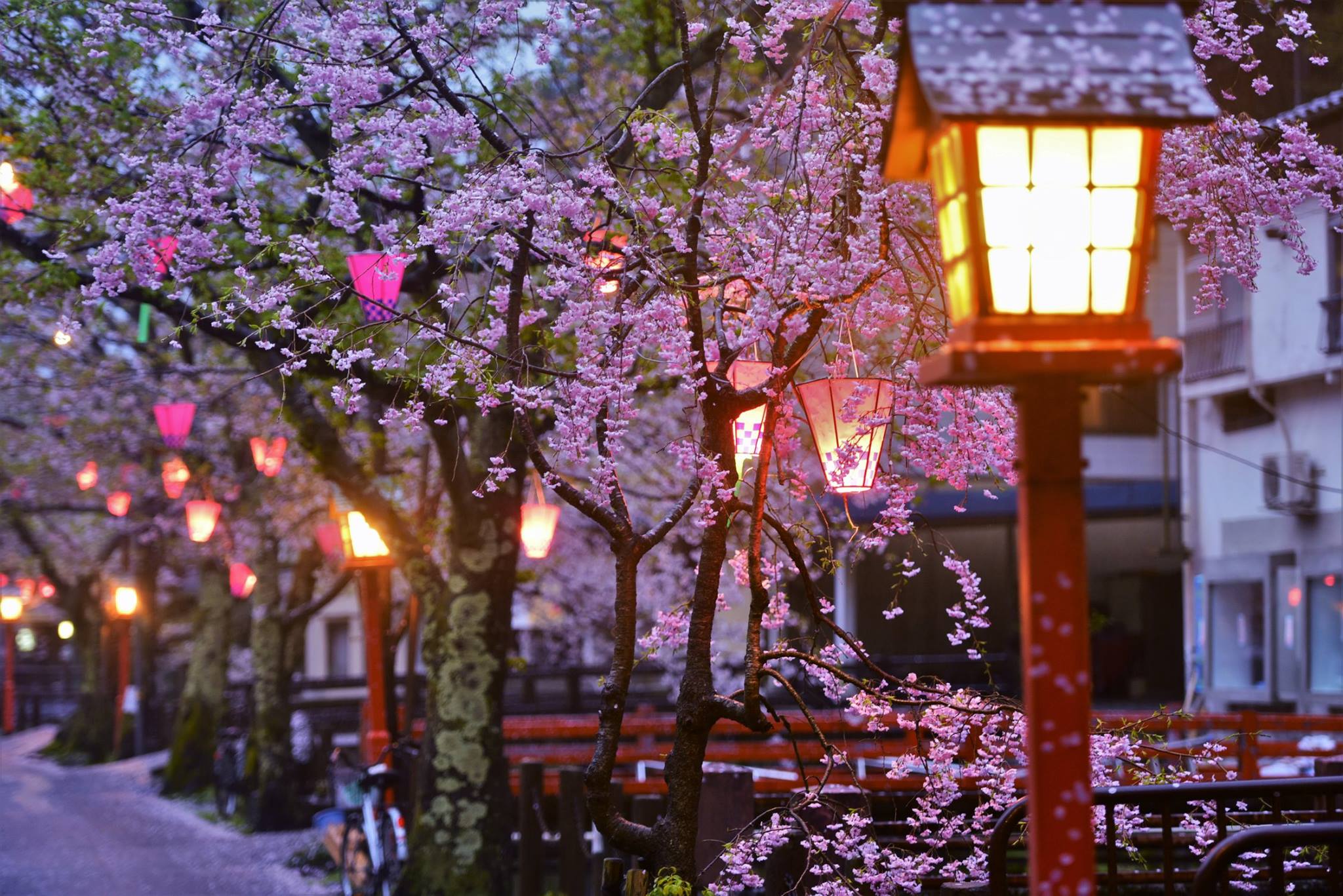 35734894_1995852907410364_8699842809399607296_o