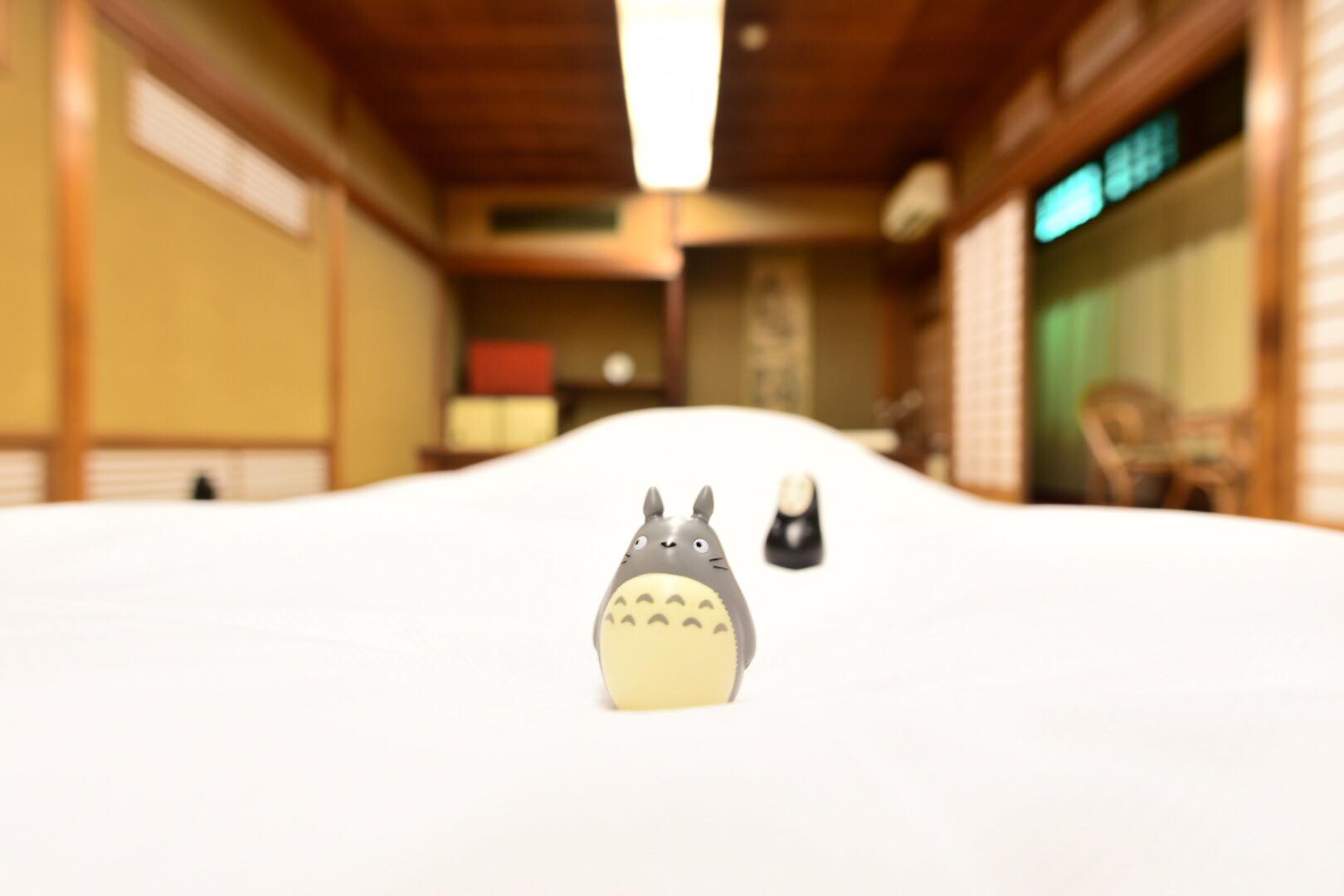 35844459_1995900557405599_4314666464150814720_o