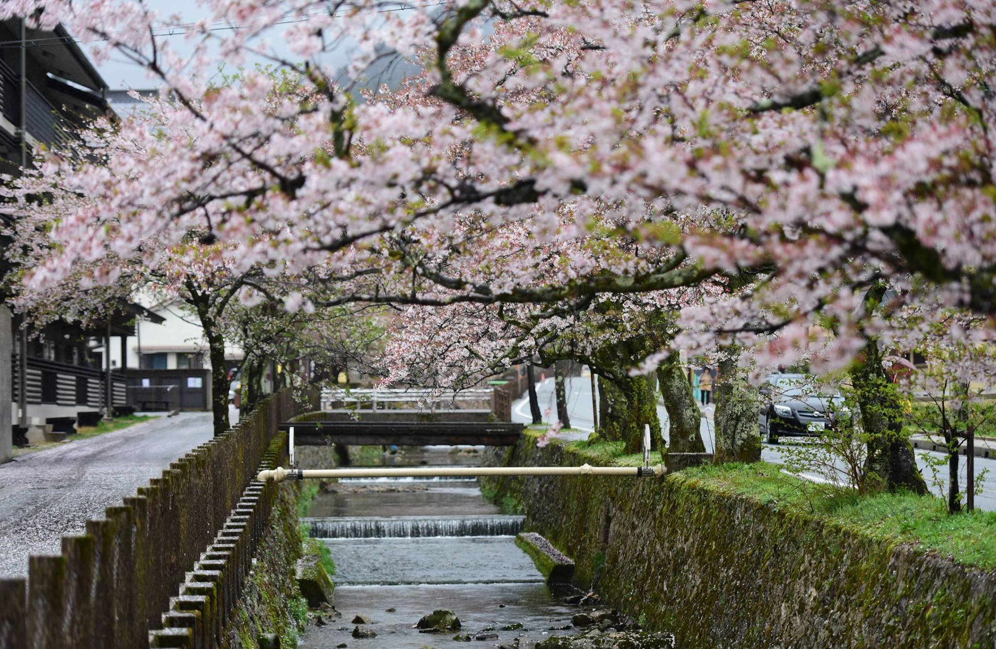 35882921_1995851964077125_4916949659349417984_o