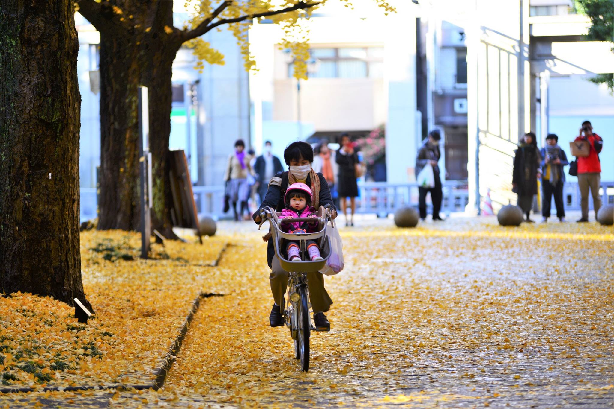 36176983_2002161863446135_6676724513595457536_o