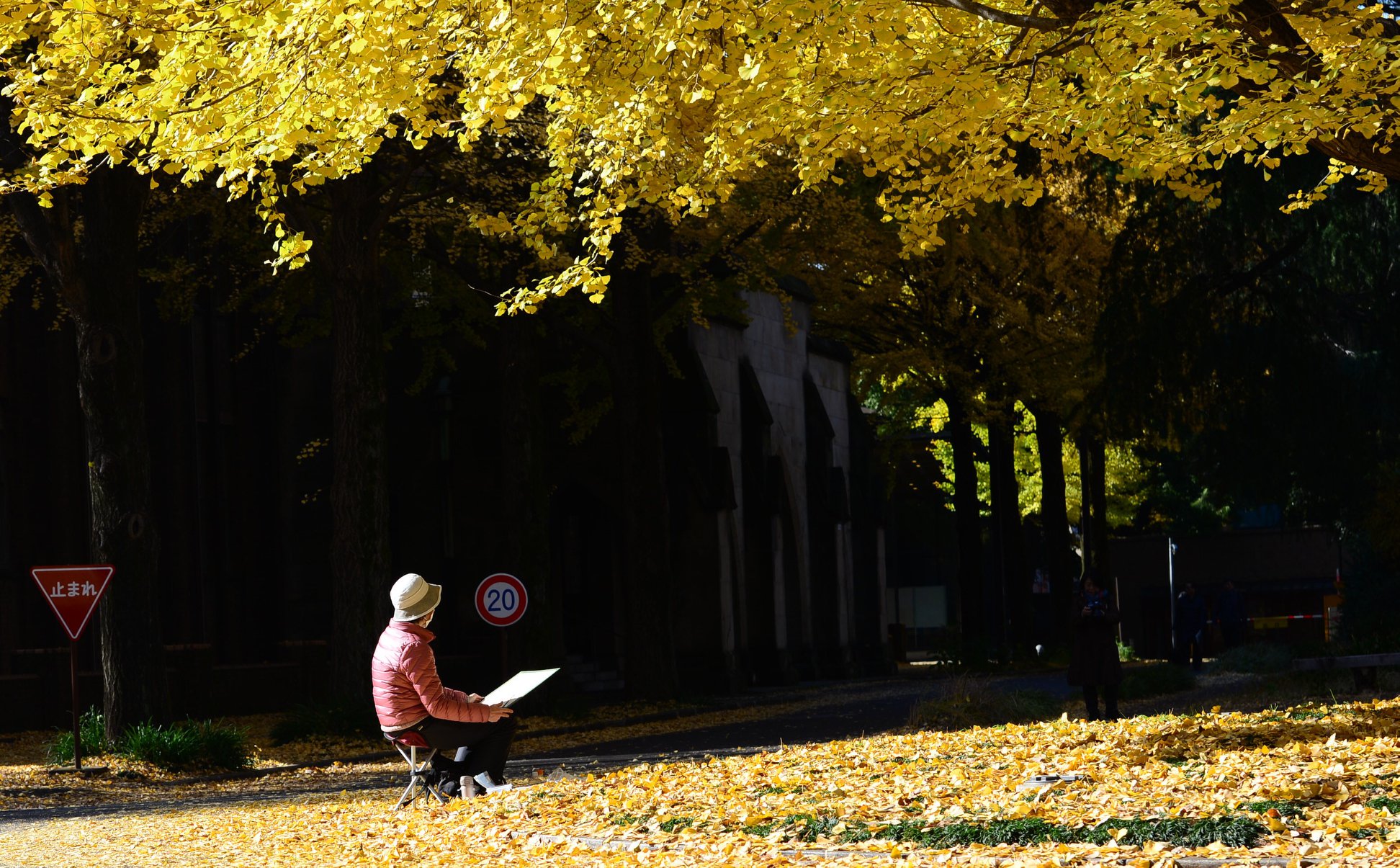 36188933_2002162926779362_7383639880993079296_o