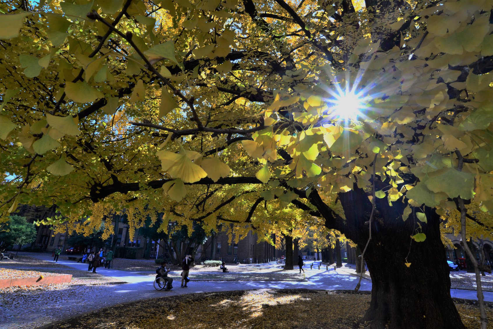 36231249_2002162990112689_4098223988155613184_o