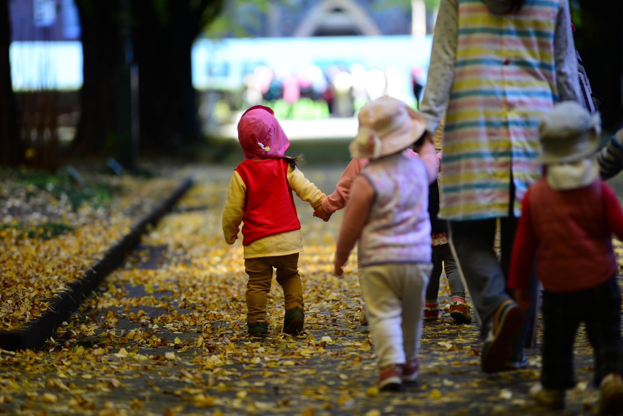 36251050_2002162060112782_2455839978907762688_o