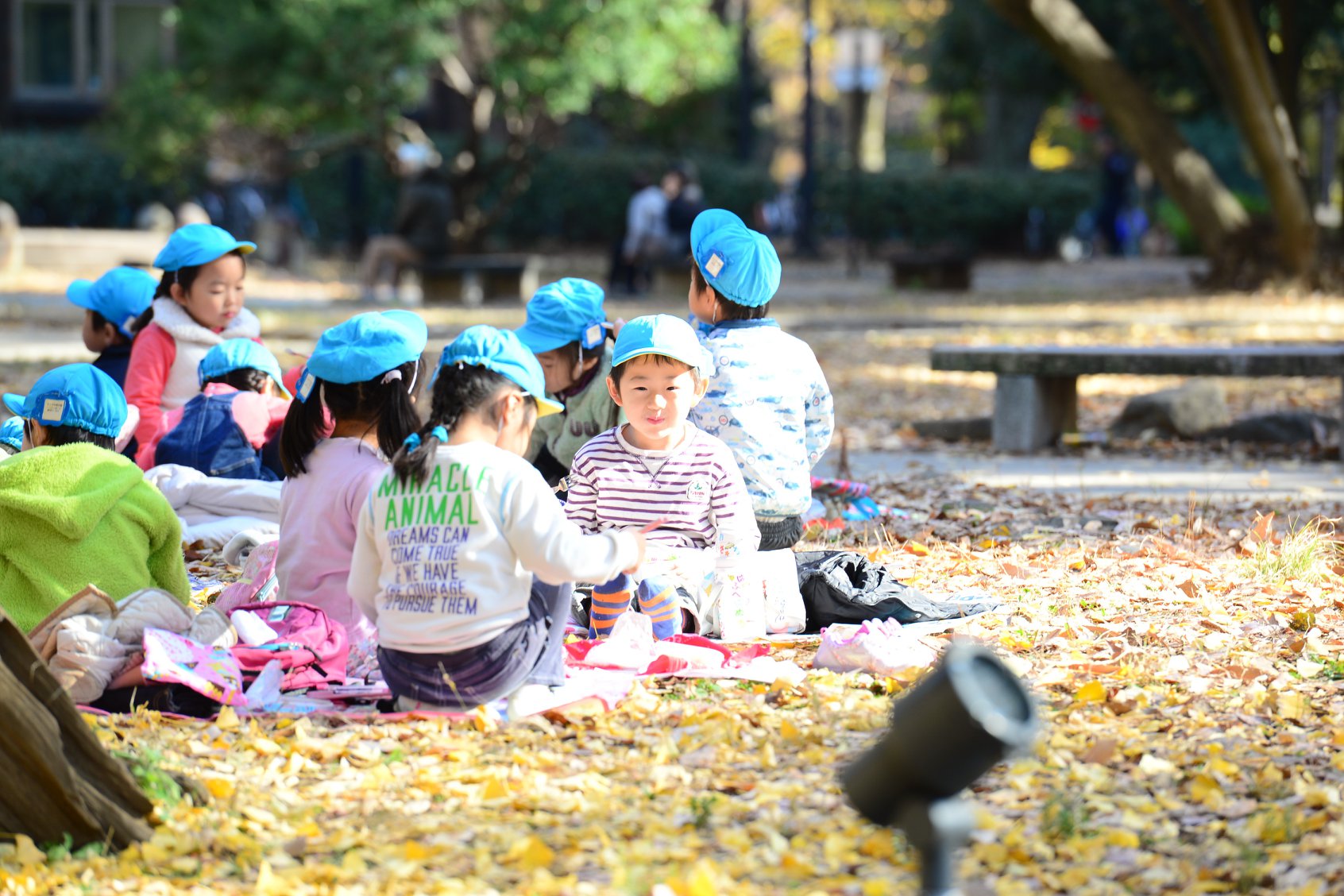 36252557_2002162310112757_7190410565066424320_o