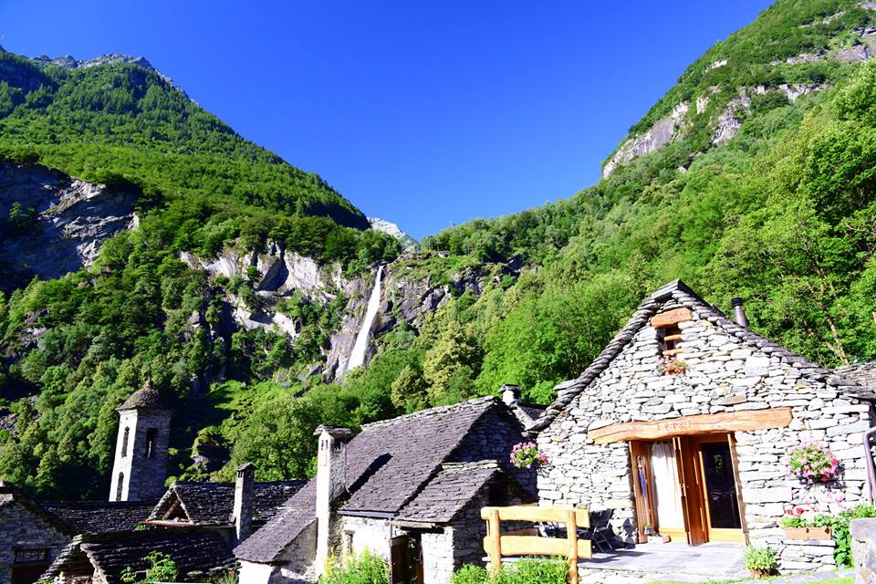 oavfd1cdcowQS426UT3-o