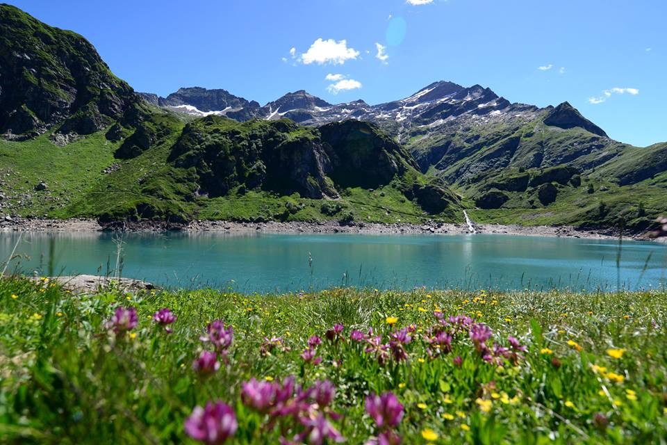 oavo3pdz42QQ6eTqnN7-o