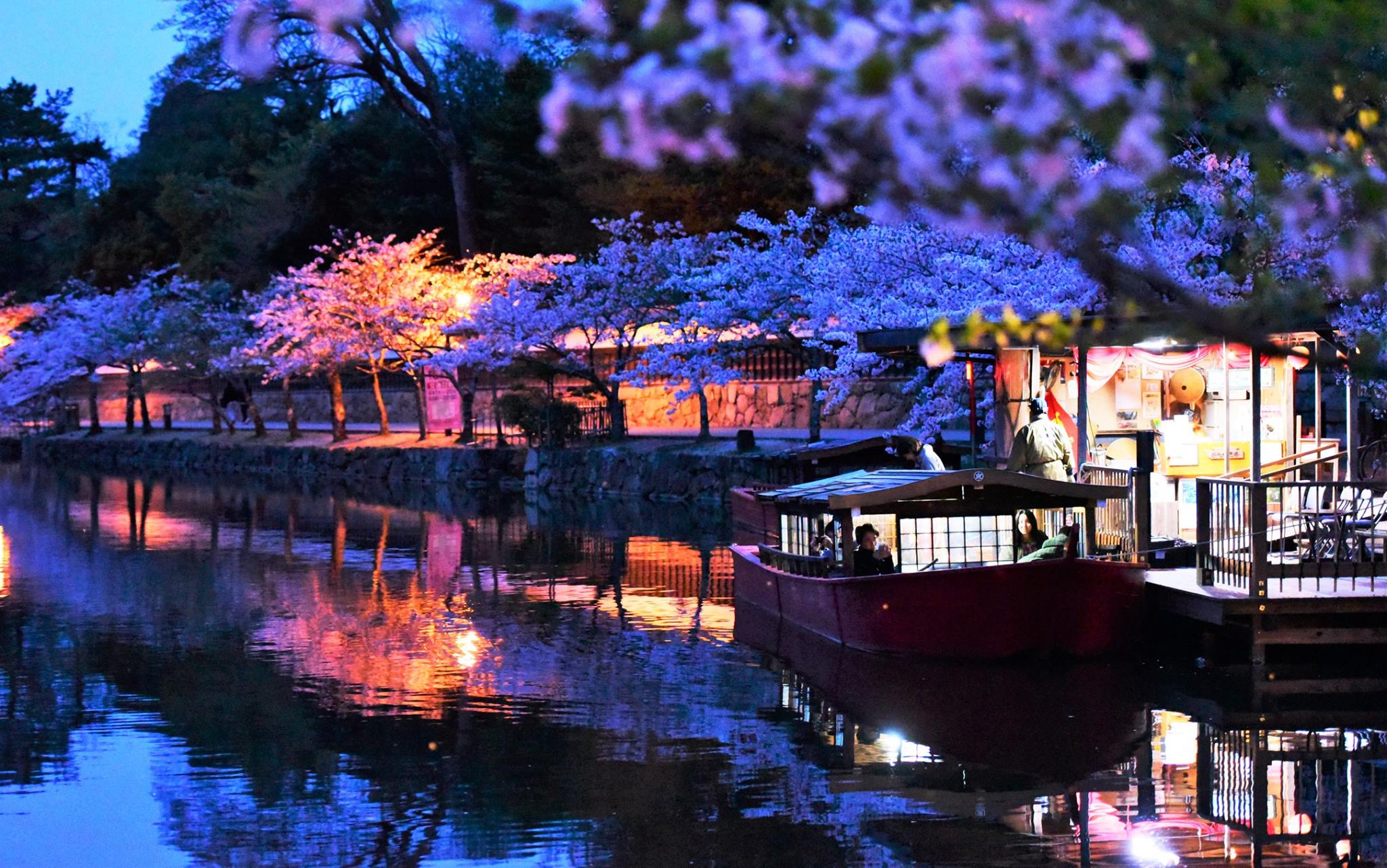 31949549_1969081046754217_2507495722375446528_o