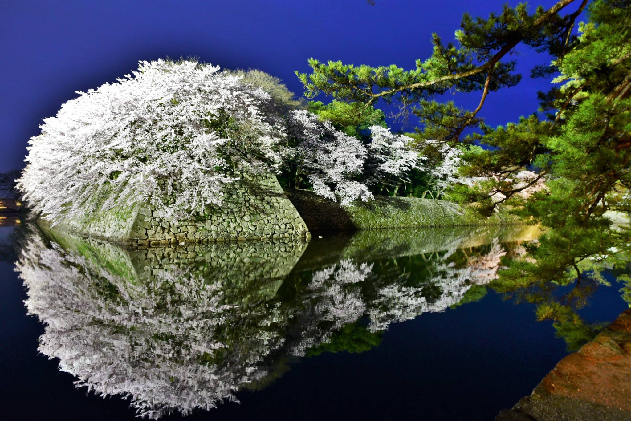 31958323_1969081100087545_838797715520356352_o