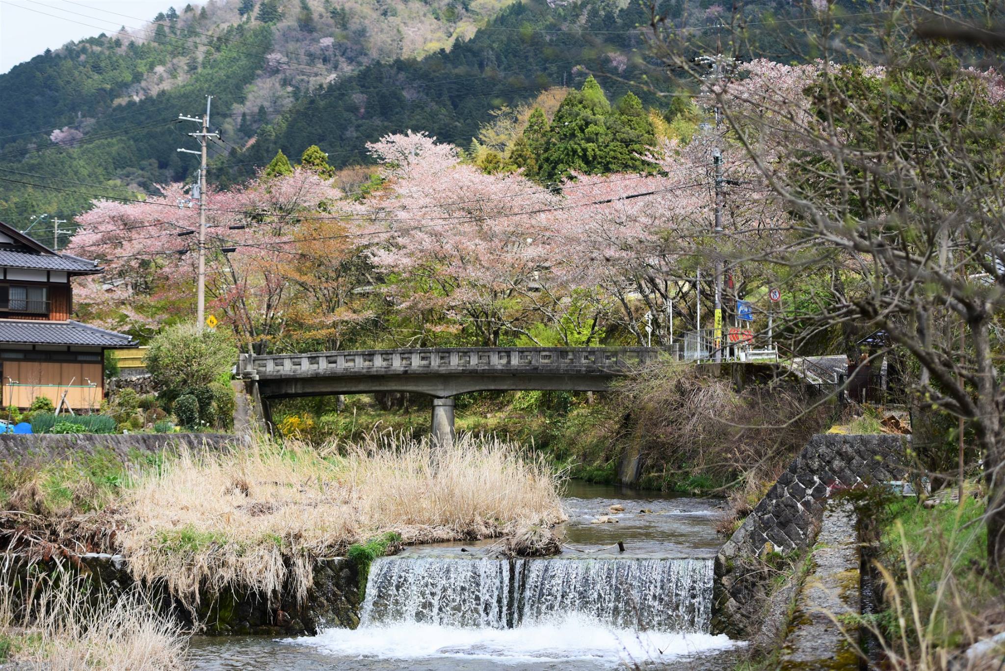 32076538_1969633103365678_1617339681282719744_o