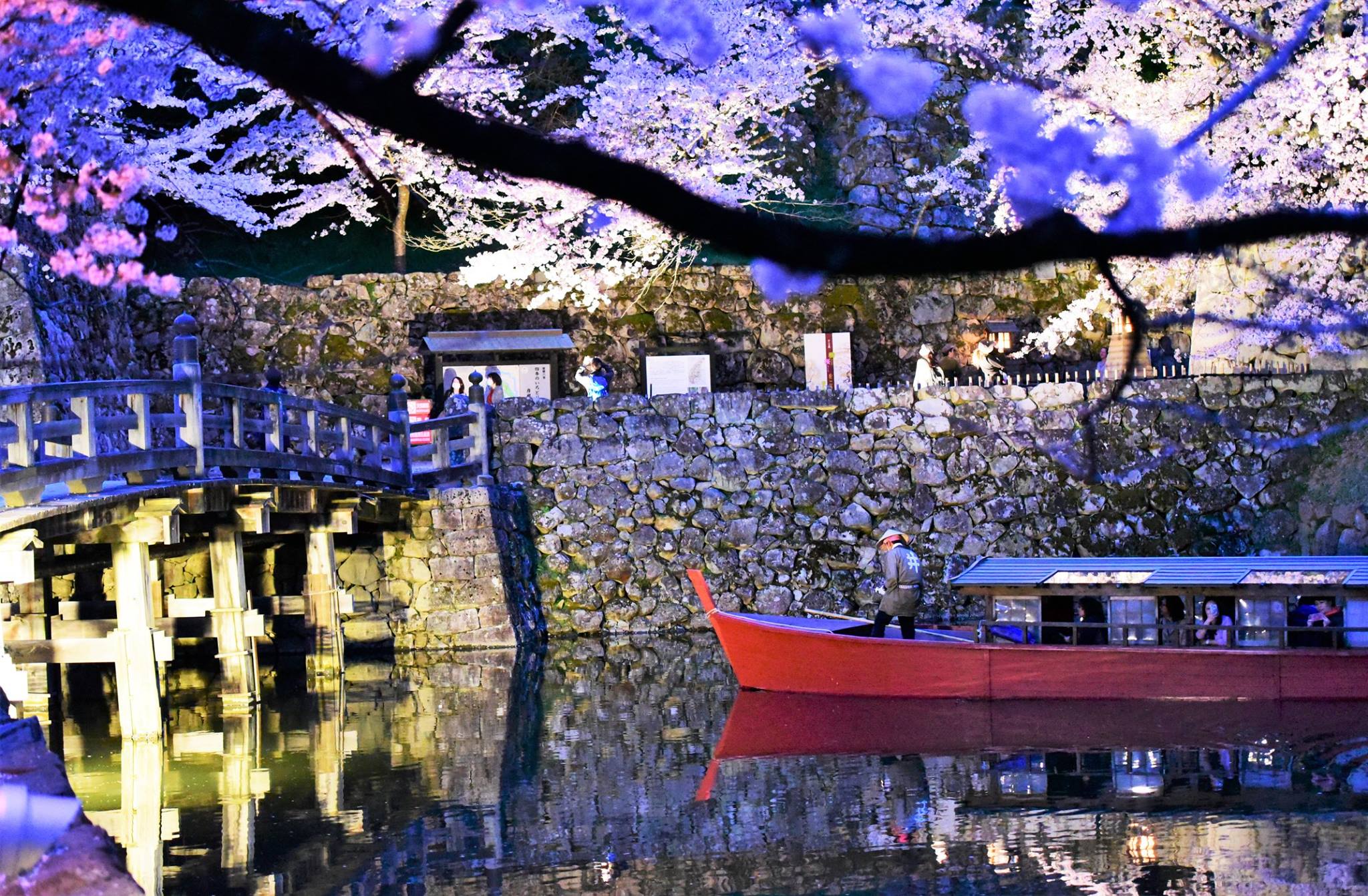 32086686_1969081020087553_2035606149440471040_o