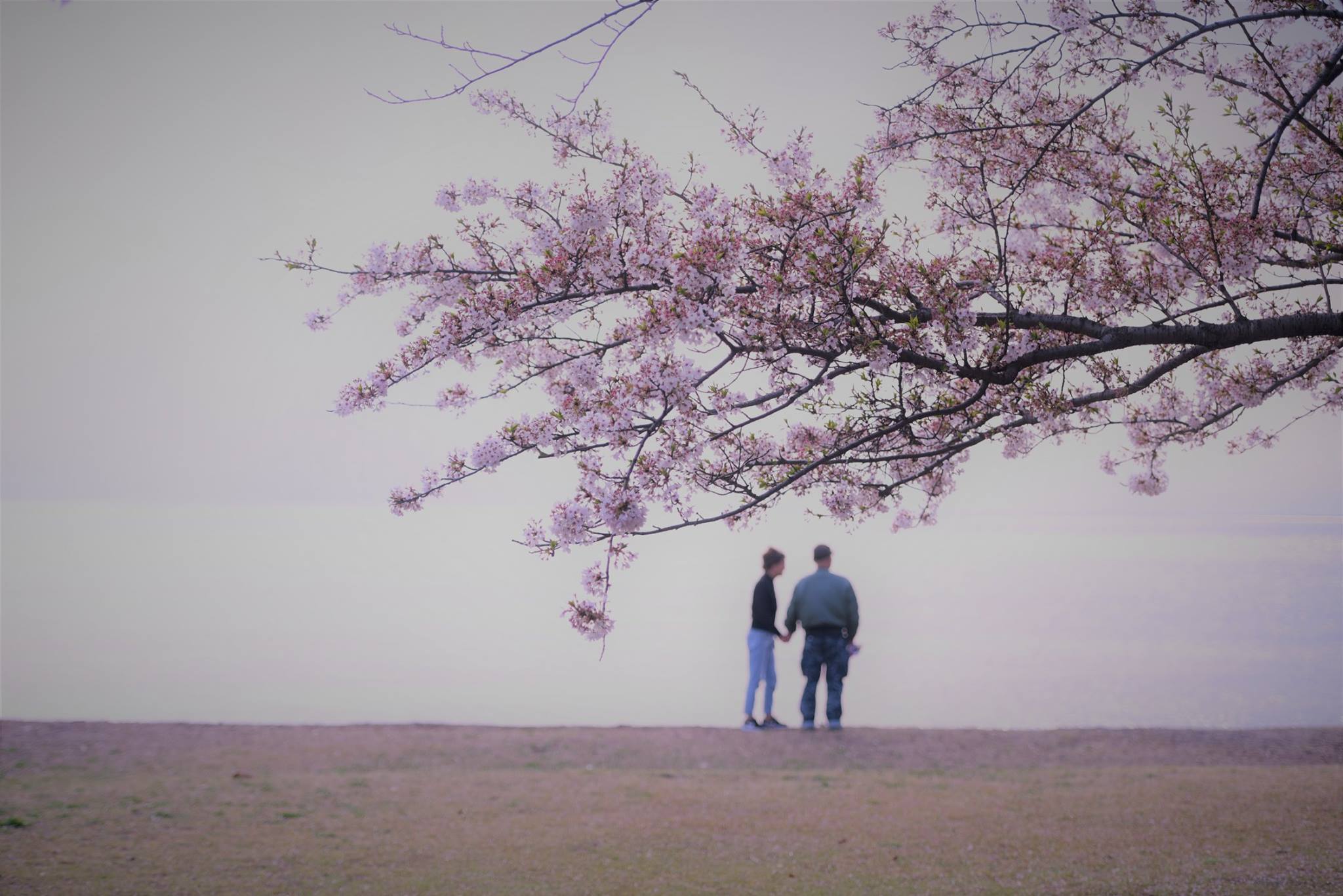 32105396_1970135623315426_889259513914327040_o