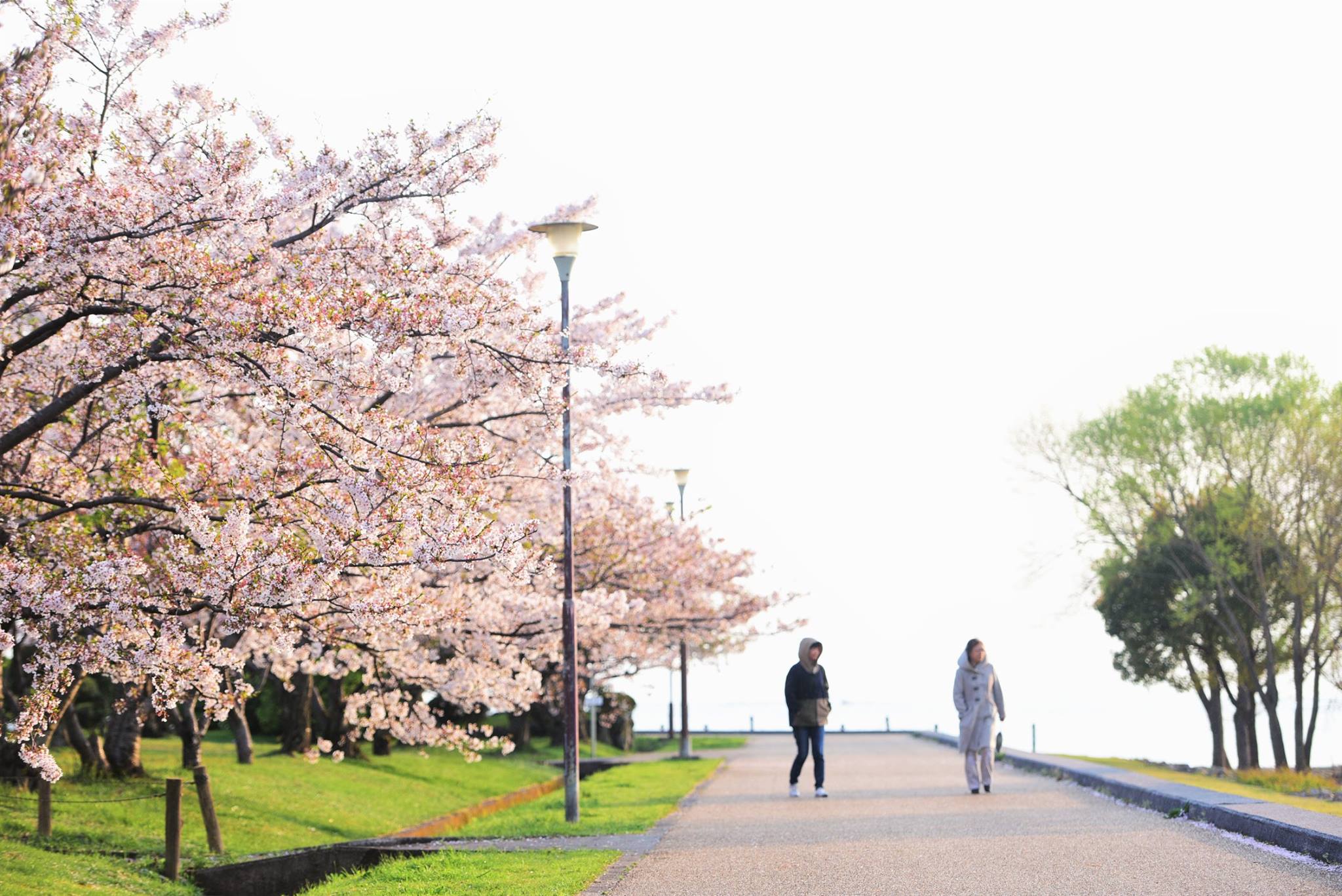 32191586_1970136173315371_9167967194959577088_o