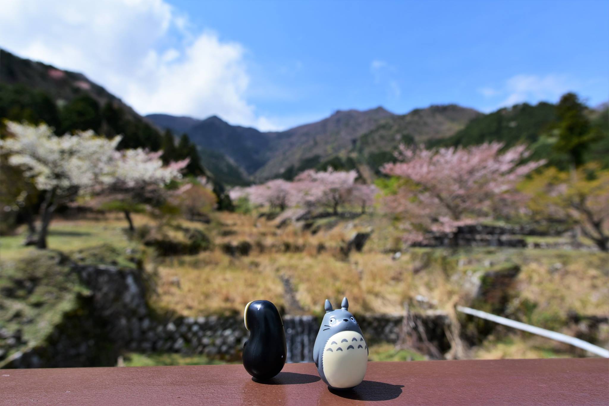 32440362_1973115986350723_1549420034831417344_o