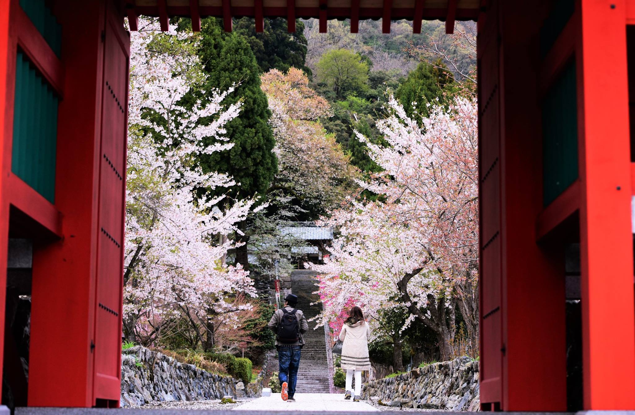 32683139_1974101302918858_5831353440822886400_o