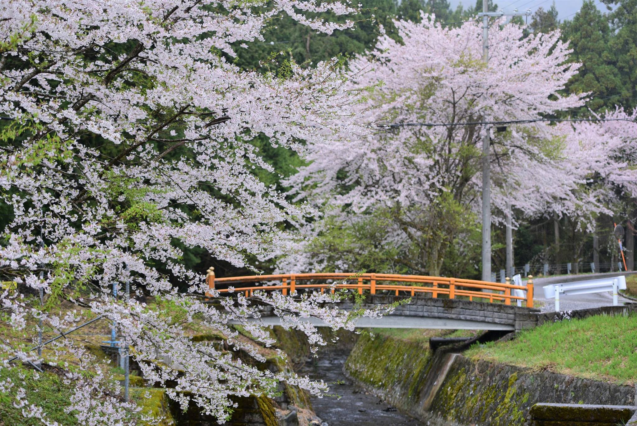 32780108_1974102682918720_4236379685769969664_o