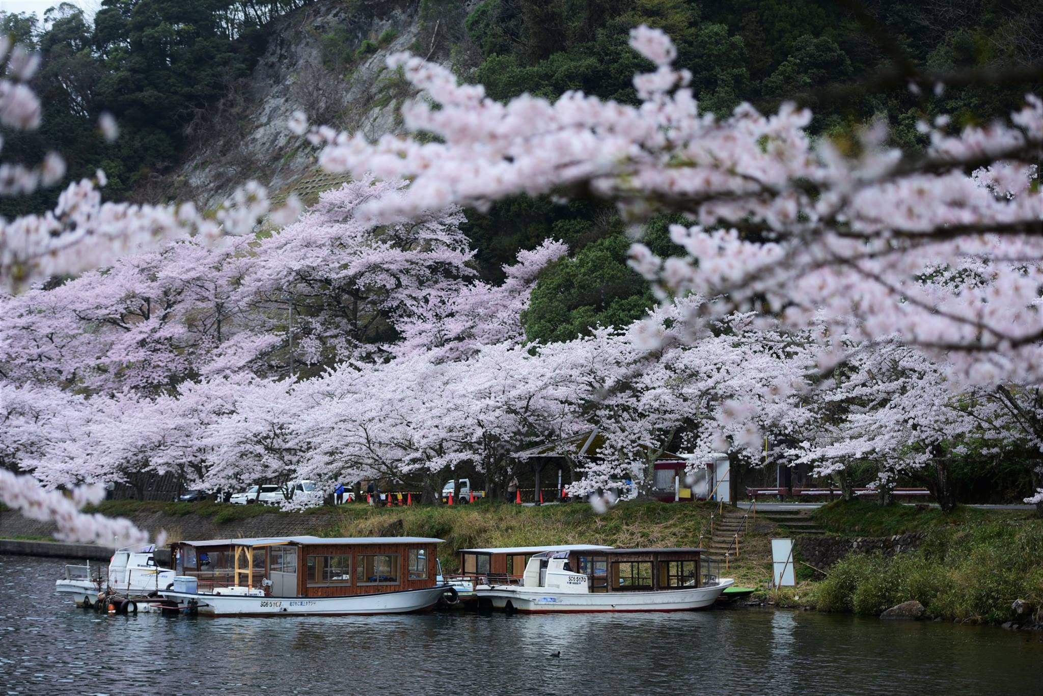 32944230_1975606439435011_3438141347880501248_o