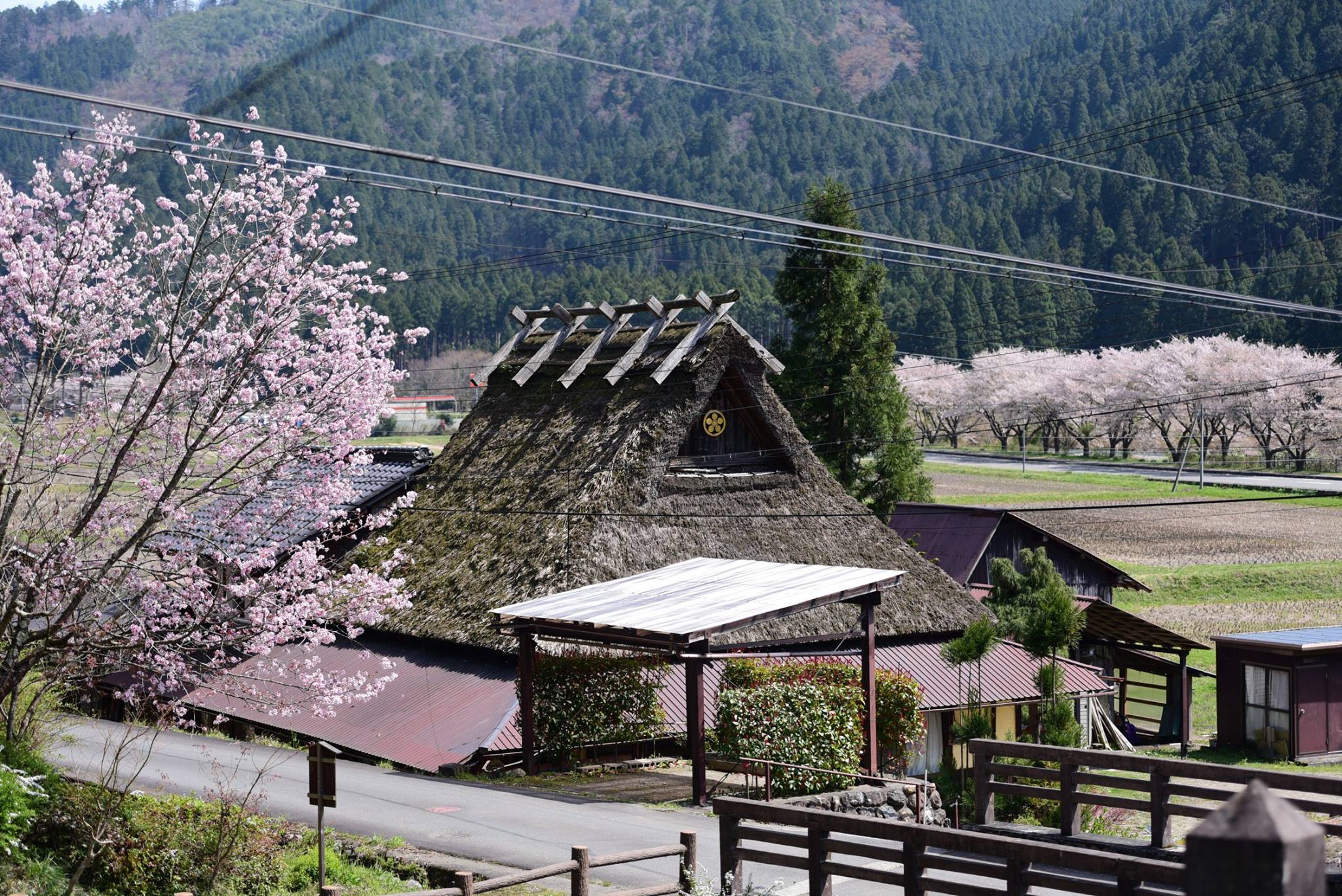 33992747_1981652868830368_8810248280932876288_o