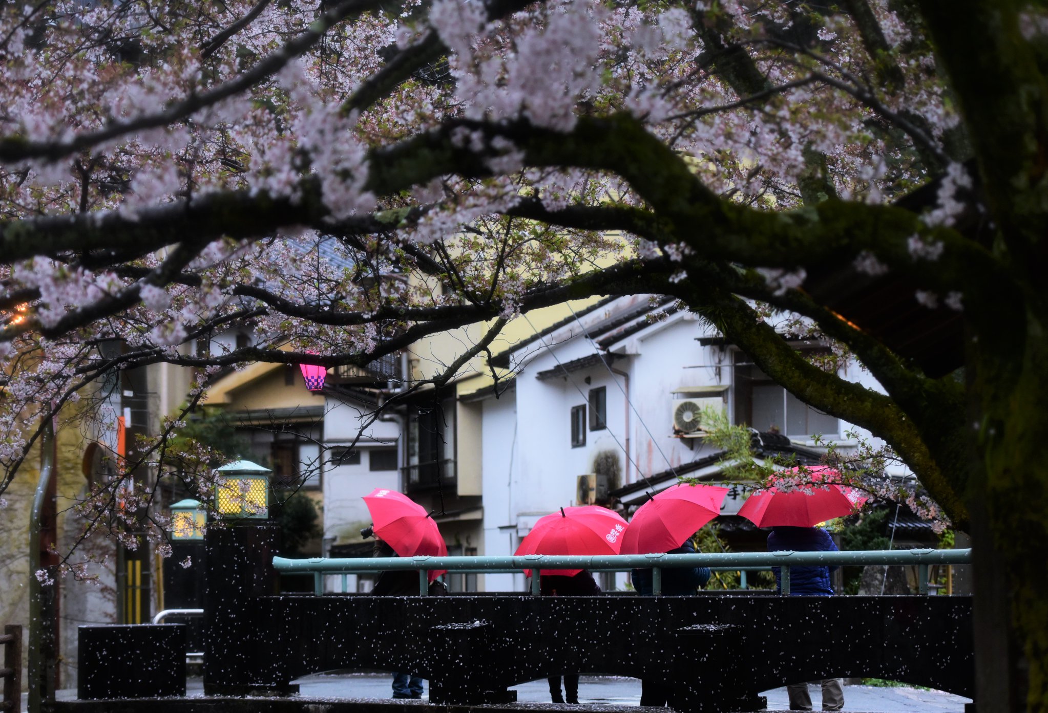 35785591_1995852474077074_2435979607749427200_o