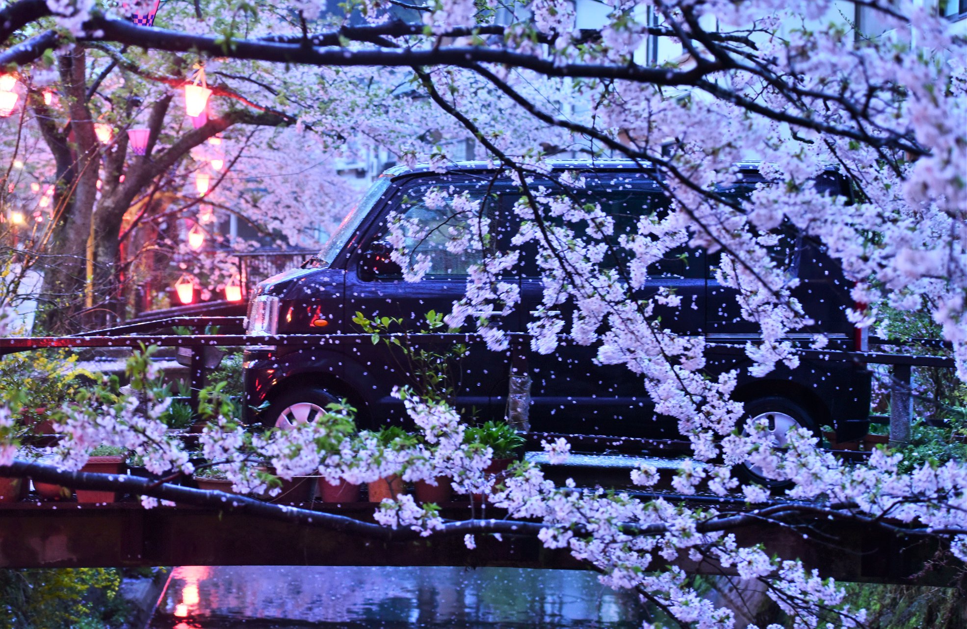 35884113_1995852840743704_6125852944513368064_o