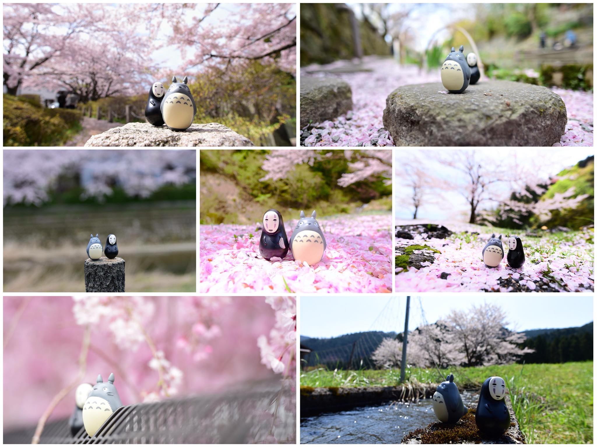 36899990_2015448148784173_5547955843477012480_o