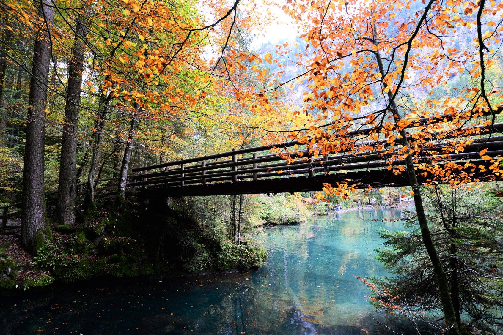 36904509_2017569105238744_6487439845957304320_o