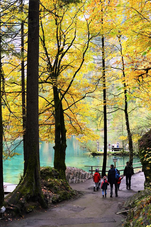 36914088_2017568891905432_6194601309199400960_n