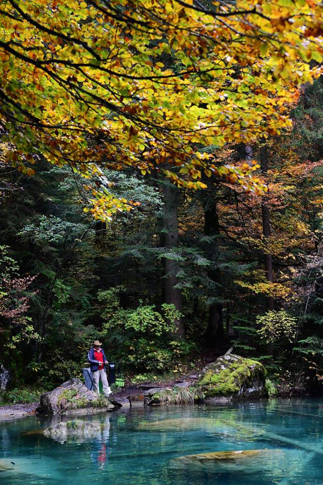 36921035_2017569595238695_7148579353129910272_n