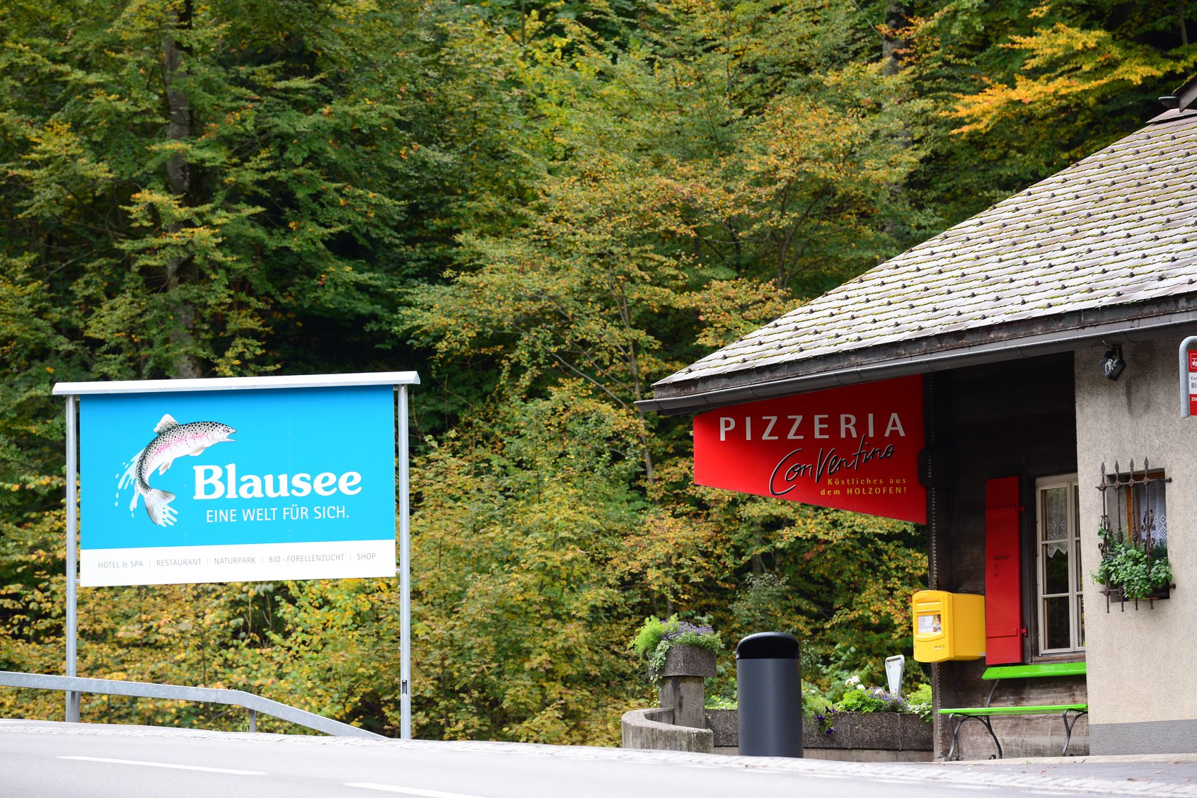 36941130_2017569915238663_7197149914214694912_o