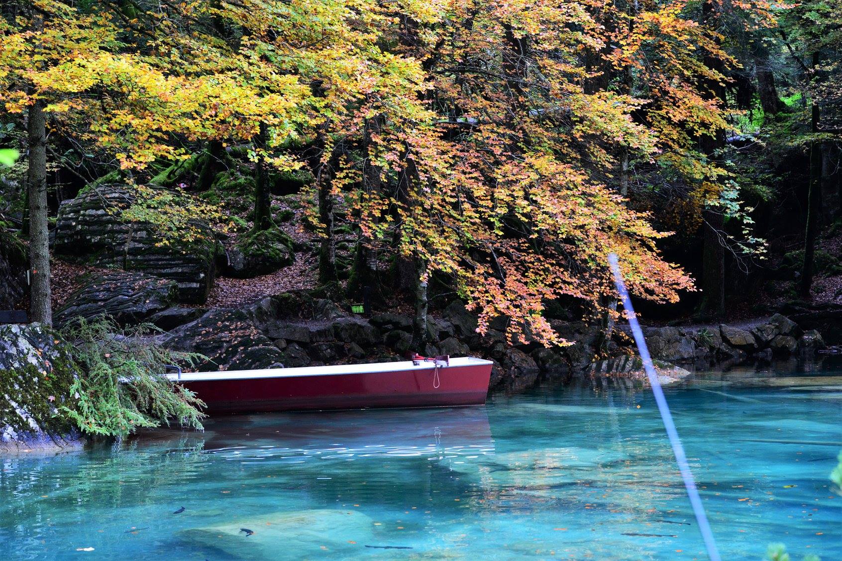 36956017_2017569731905348_2144856970555817984_o