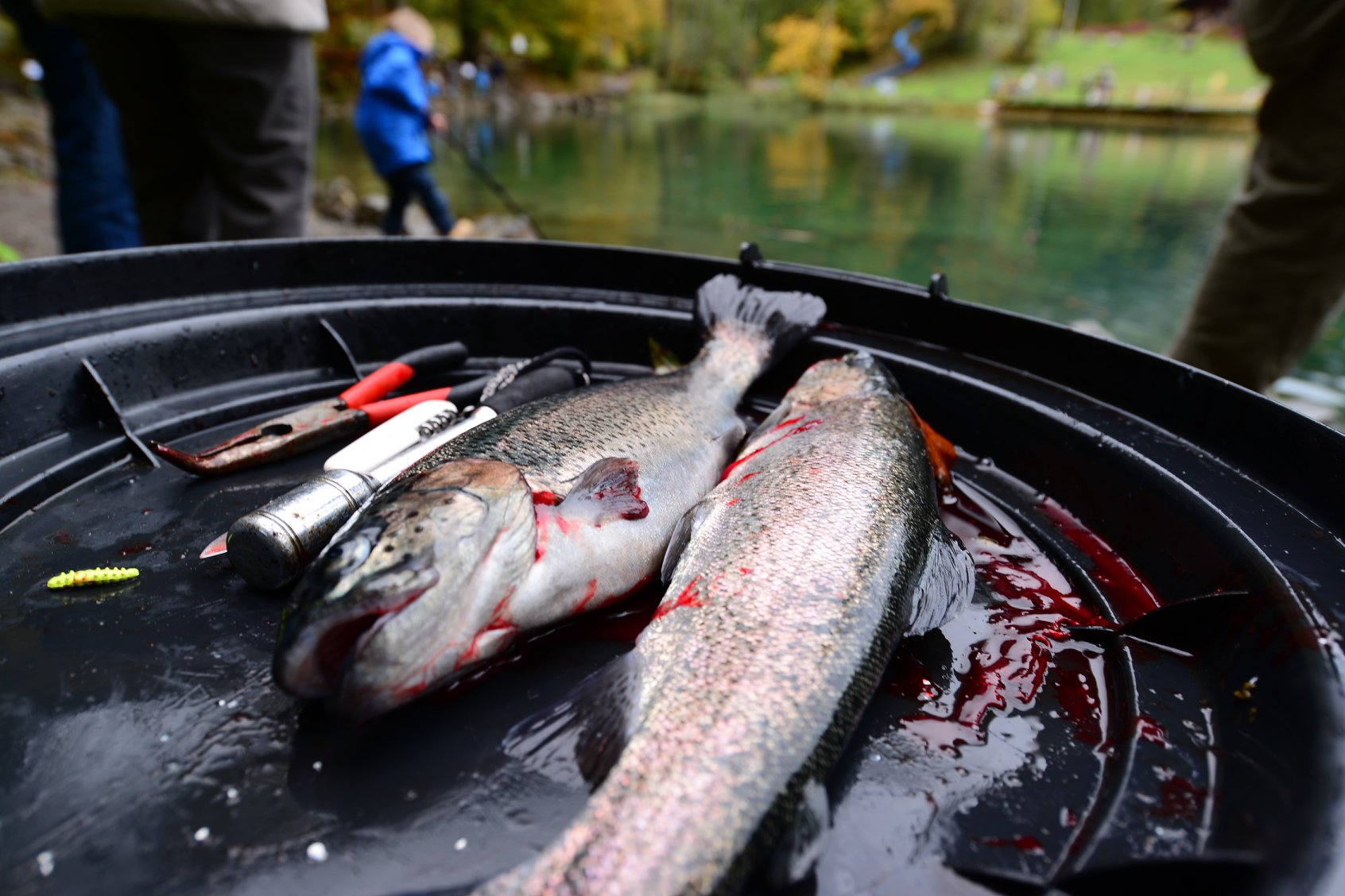 36993193_2017569121905409_1432983638940581888_o