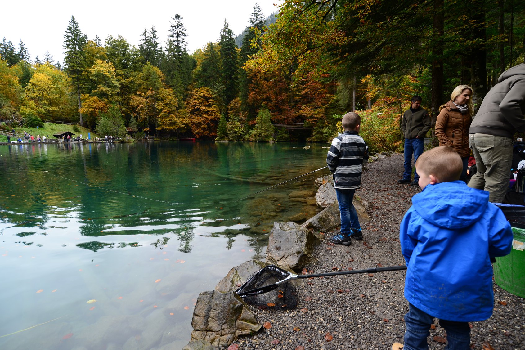 37105285_2017569168572071_1292133562312556544_o