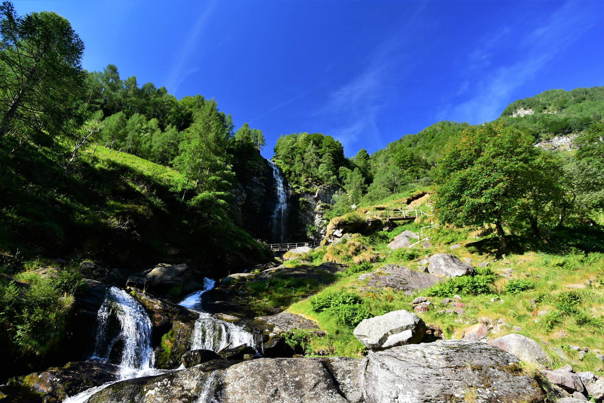 37488041_2059662561029398_7080379069220519936_o