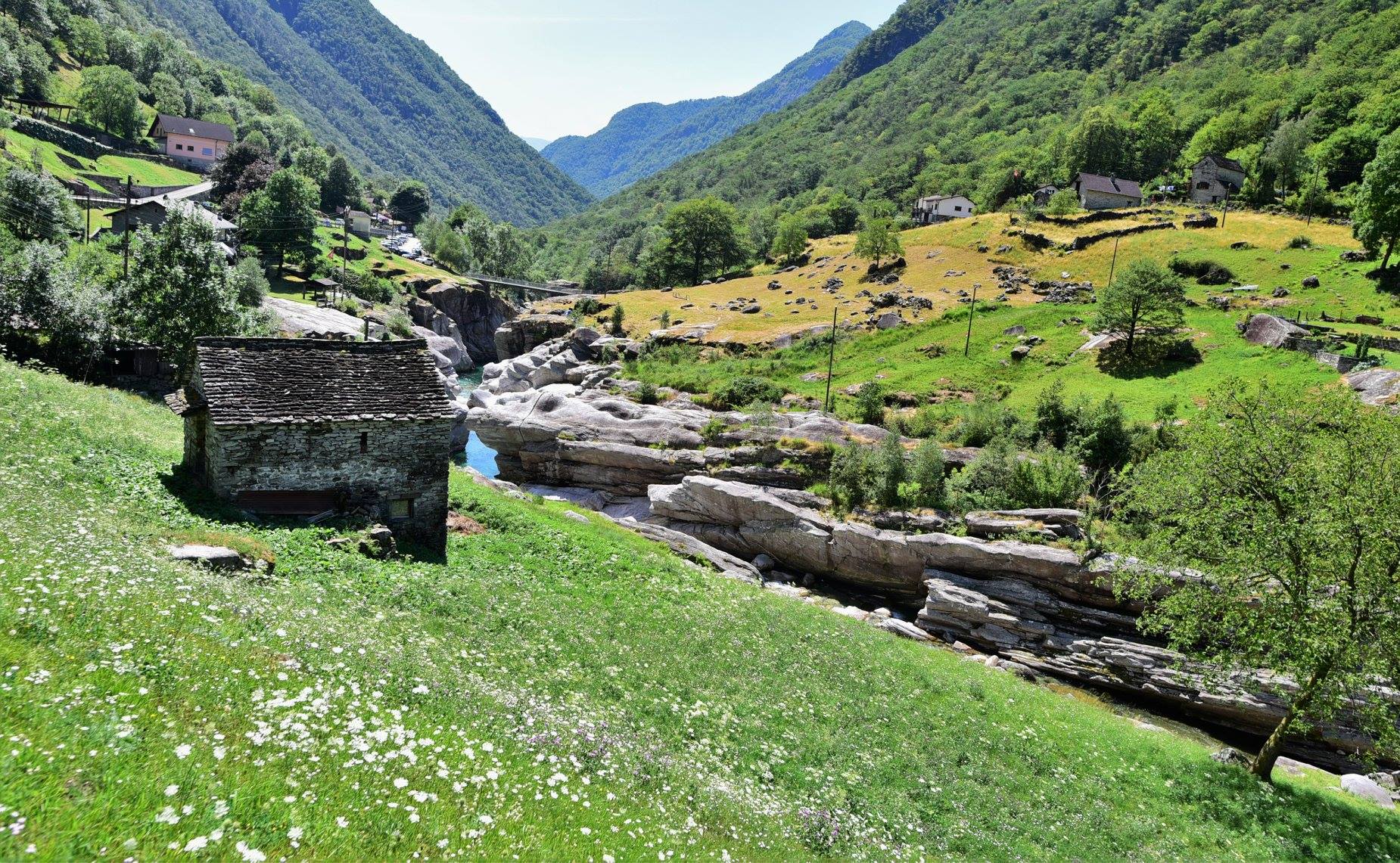 39027466_2056036054725382_5712005770069934080_o