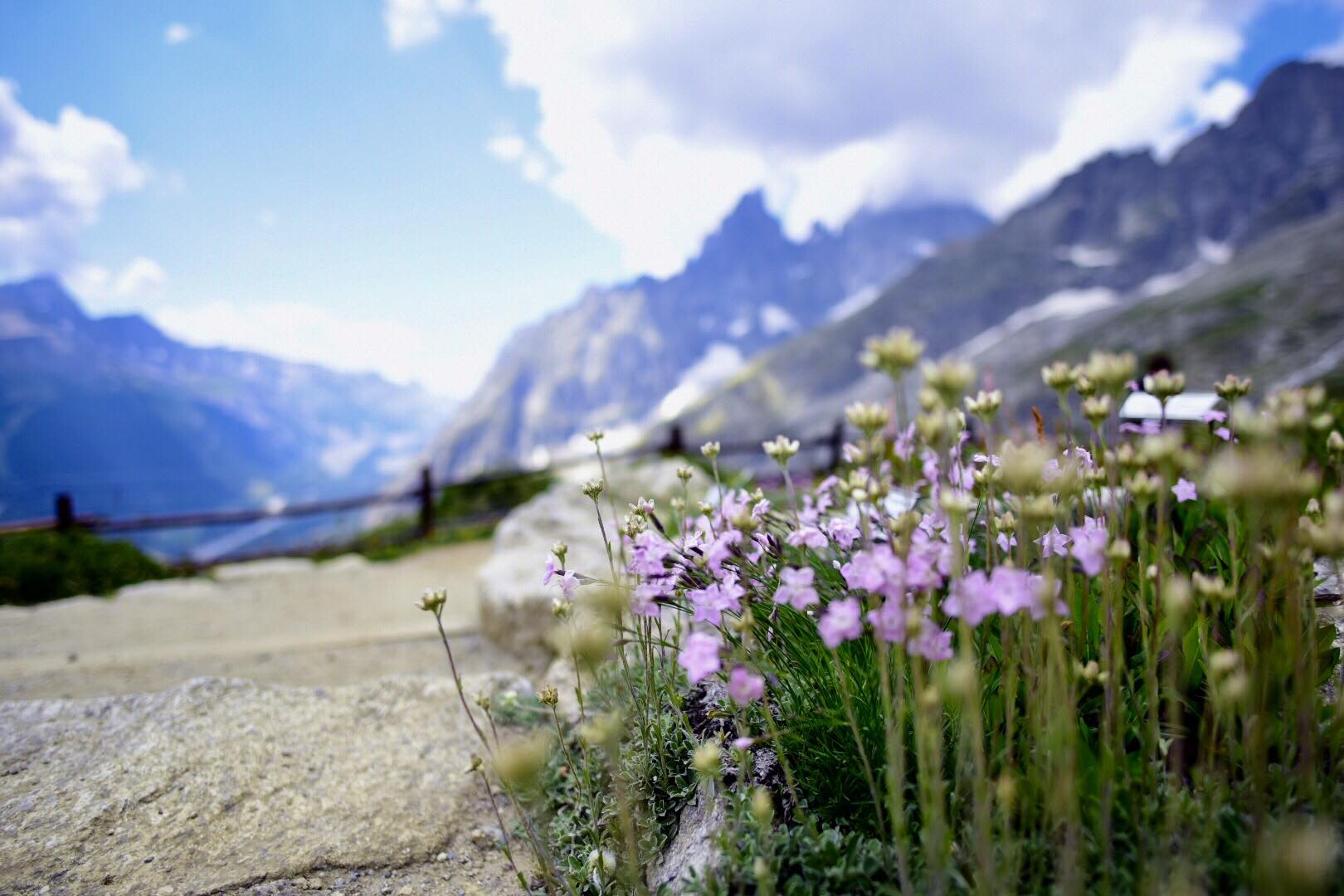 39040423_1689614227803267_6126205419594448896_o