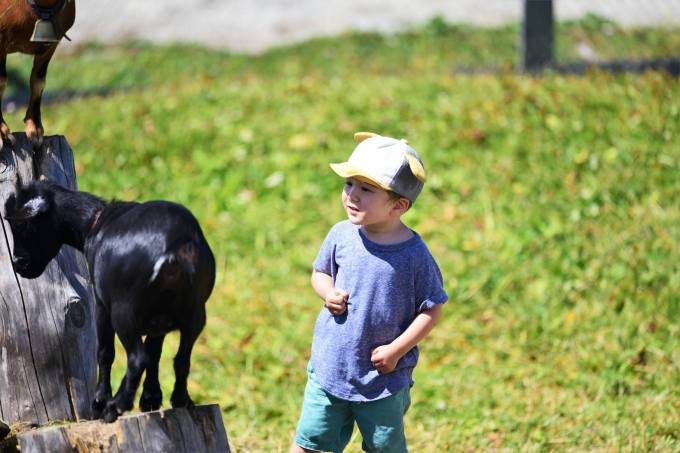 39207007_2057340557928265_1754356302030569472_o