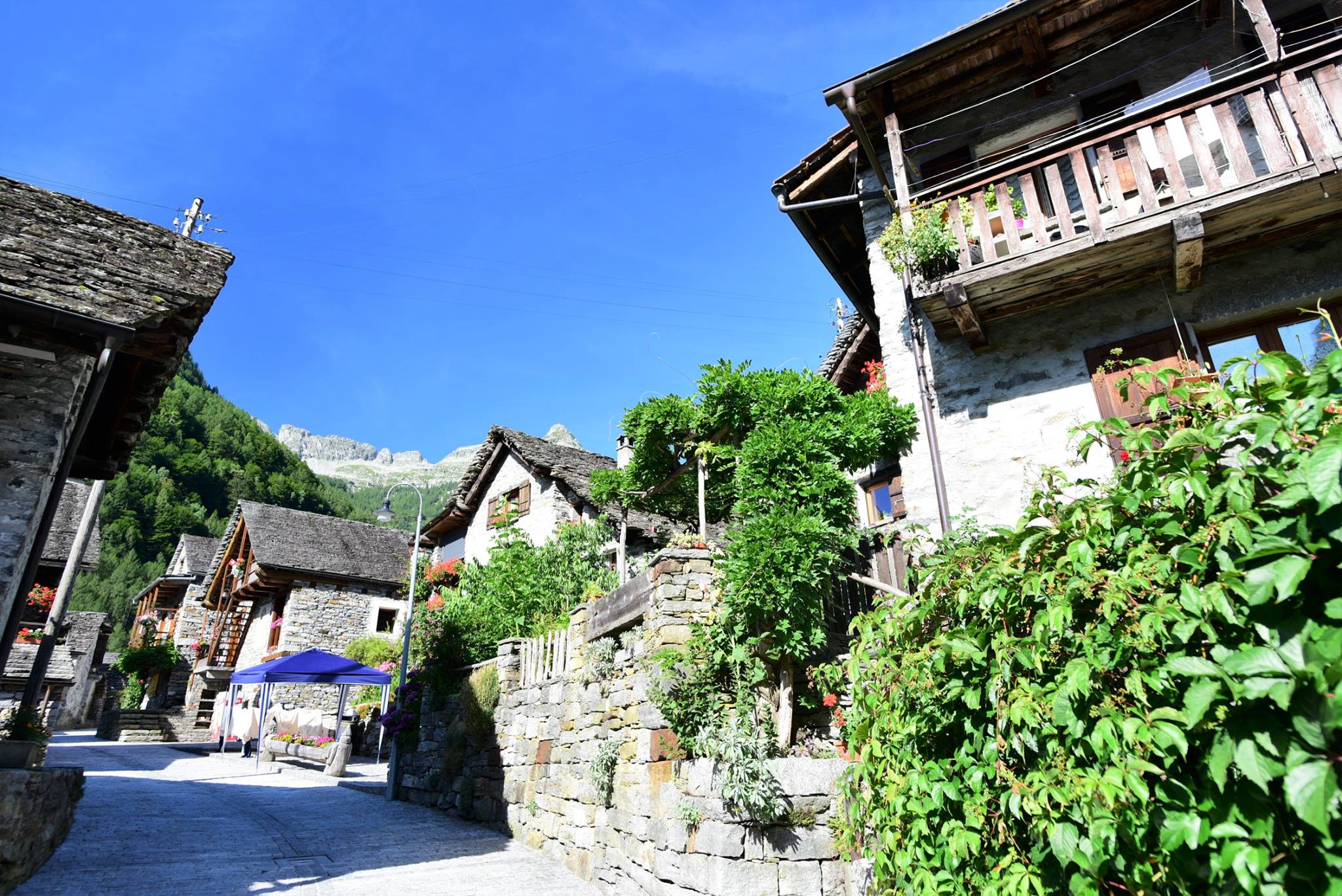 39216104_2059663584362629_3125048539923611648_o