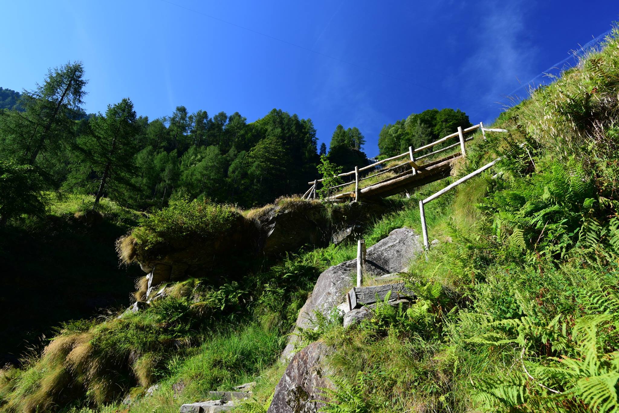 39227167_2059662604362727_5192609422139981824_o