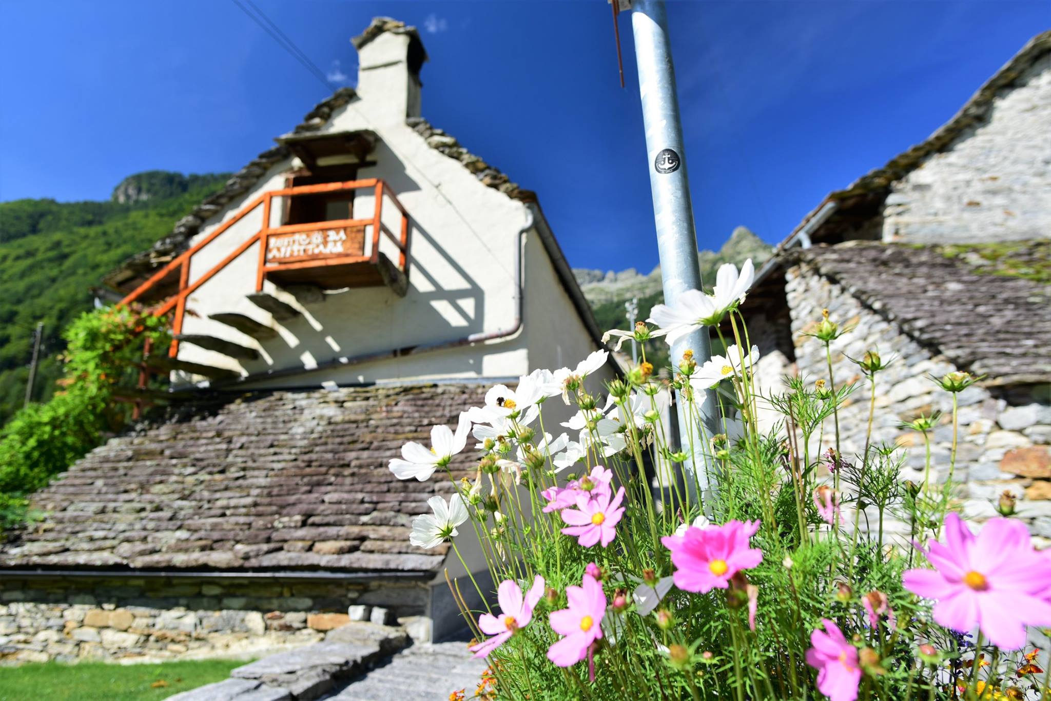 39249472_2059663764362611_8310251634559025152_o