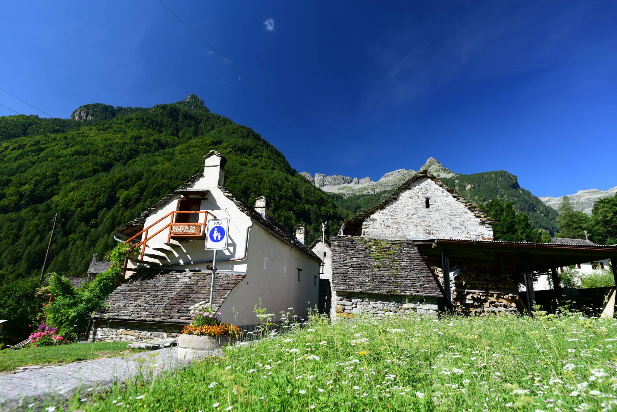 39254960_2059663917695929_2518255337006432256_o