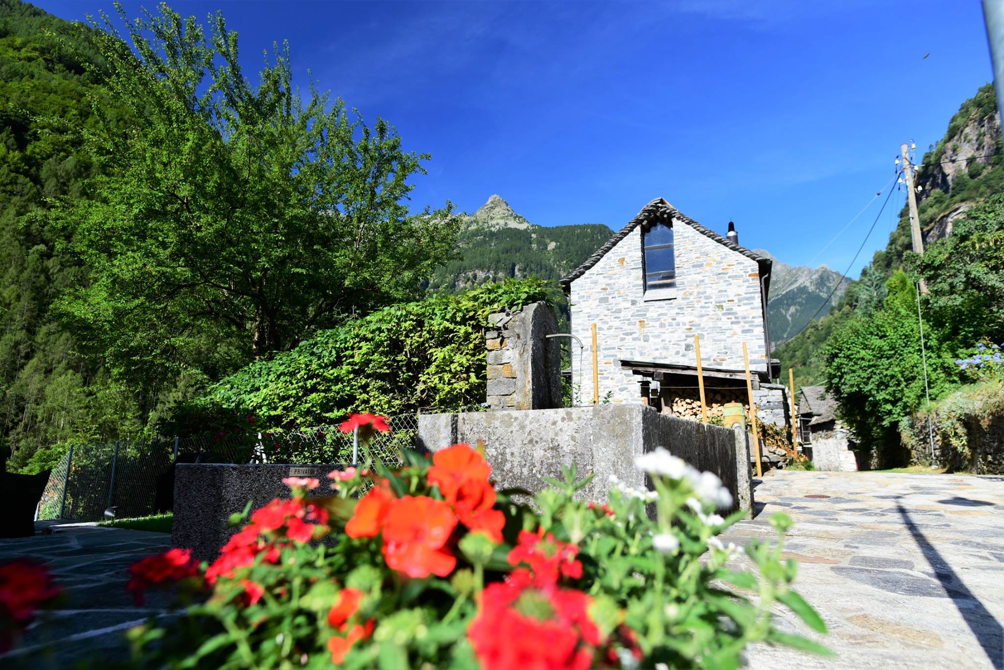 39258901_2059662927696028_4995670117758009344_o