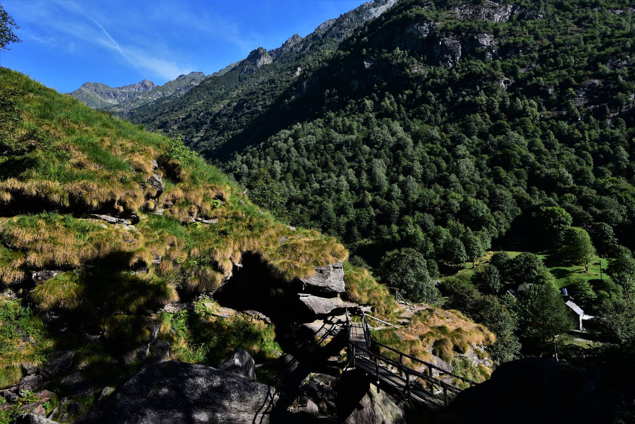 39387589_2059662701029384_1053870311696498688_o