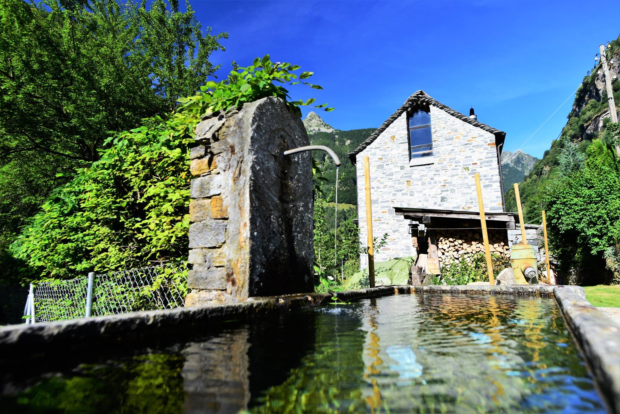 39387635_2059662901029364_8544590865614503936_o