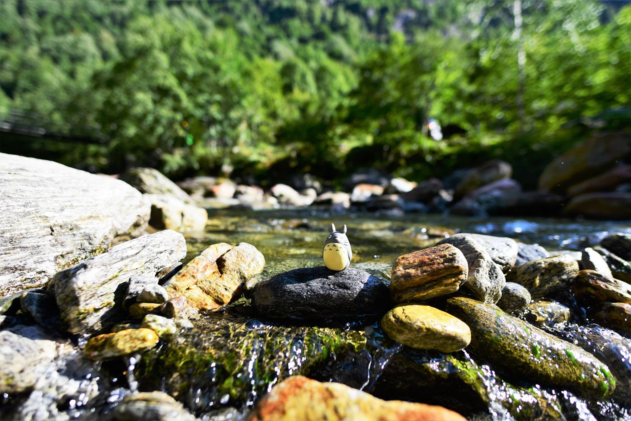 39391340_2059662781029376_7013527190293708800_o