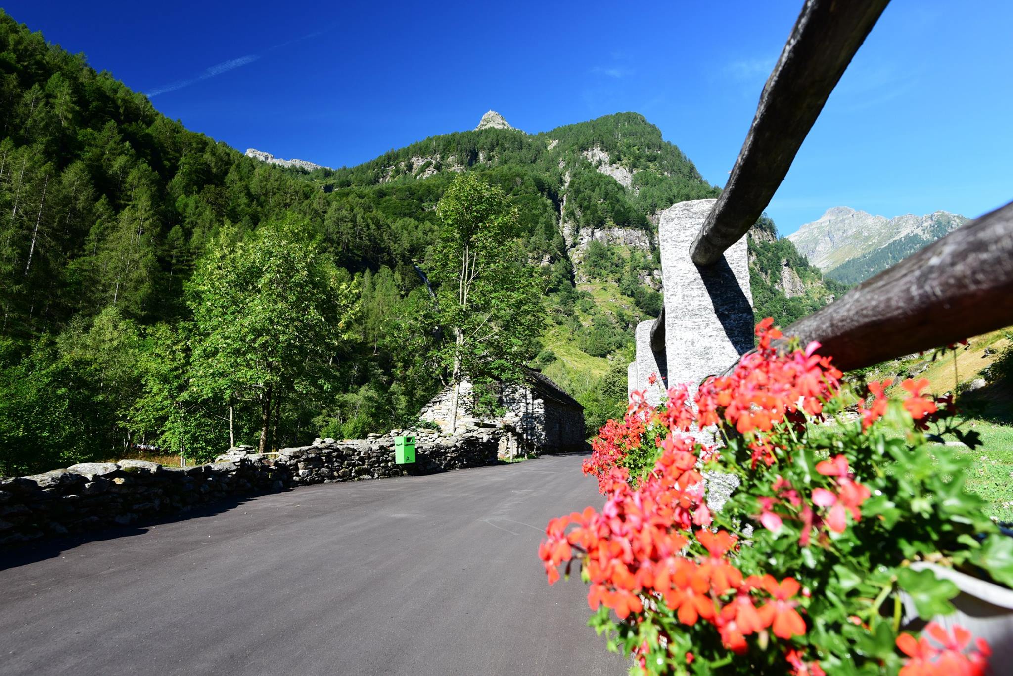 39403383_2059662251029429_599410600811954176_o