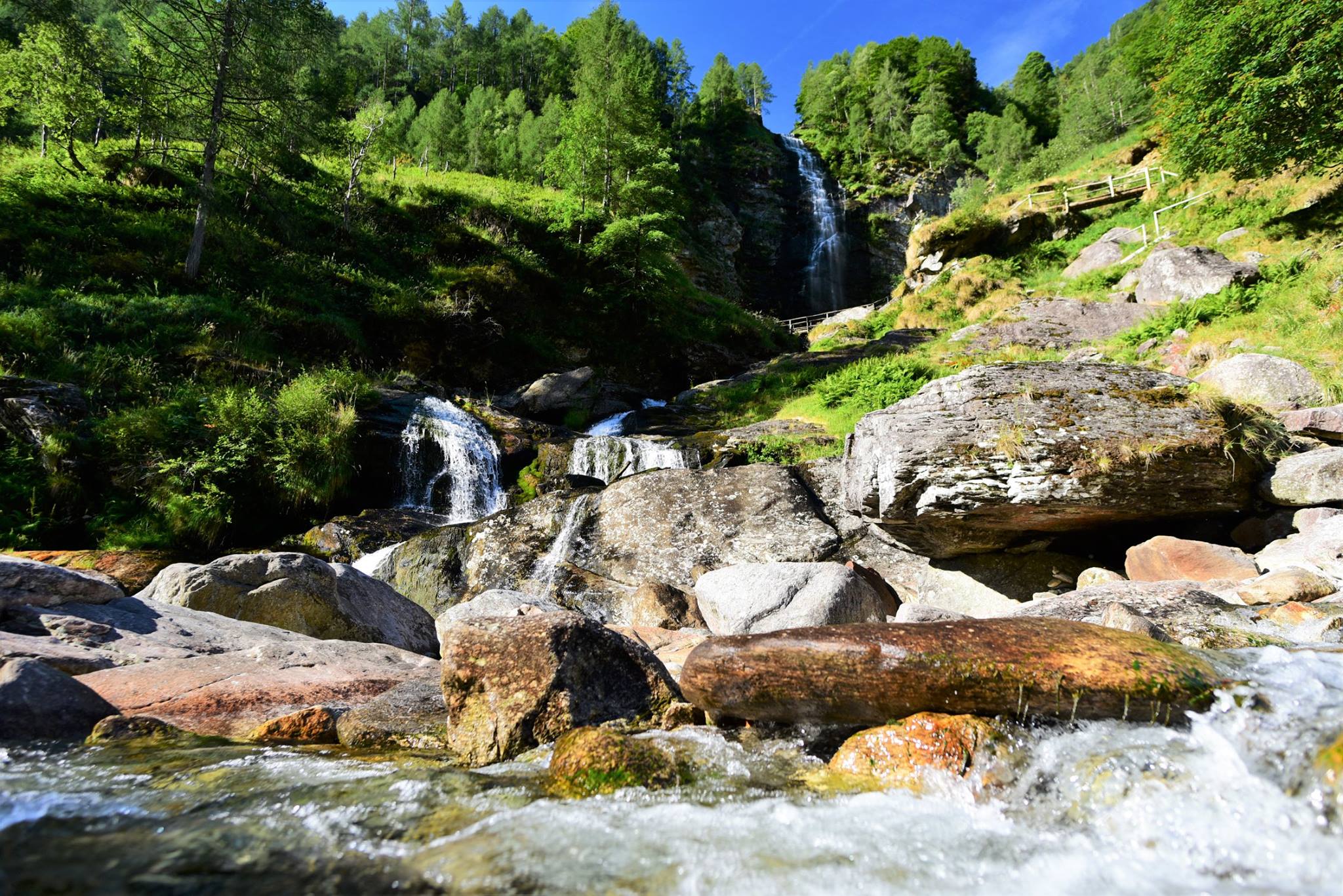 39442015_2059662484362739_2117005297347198976_o