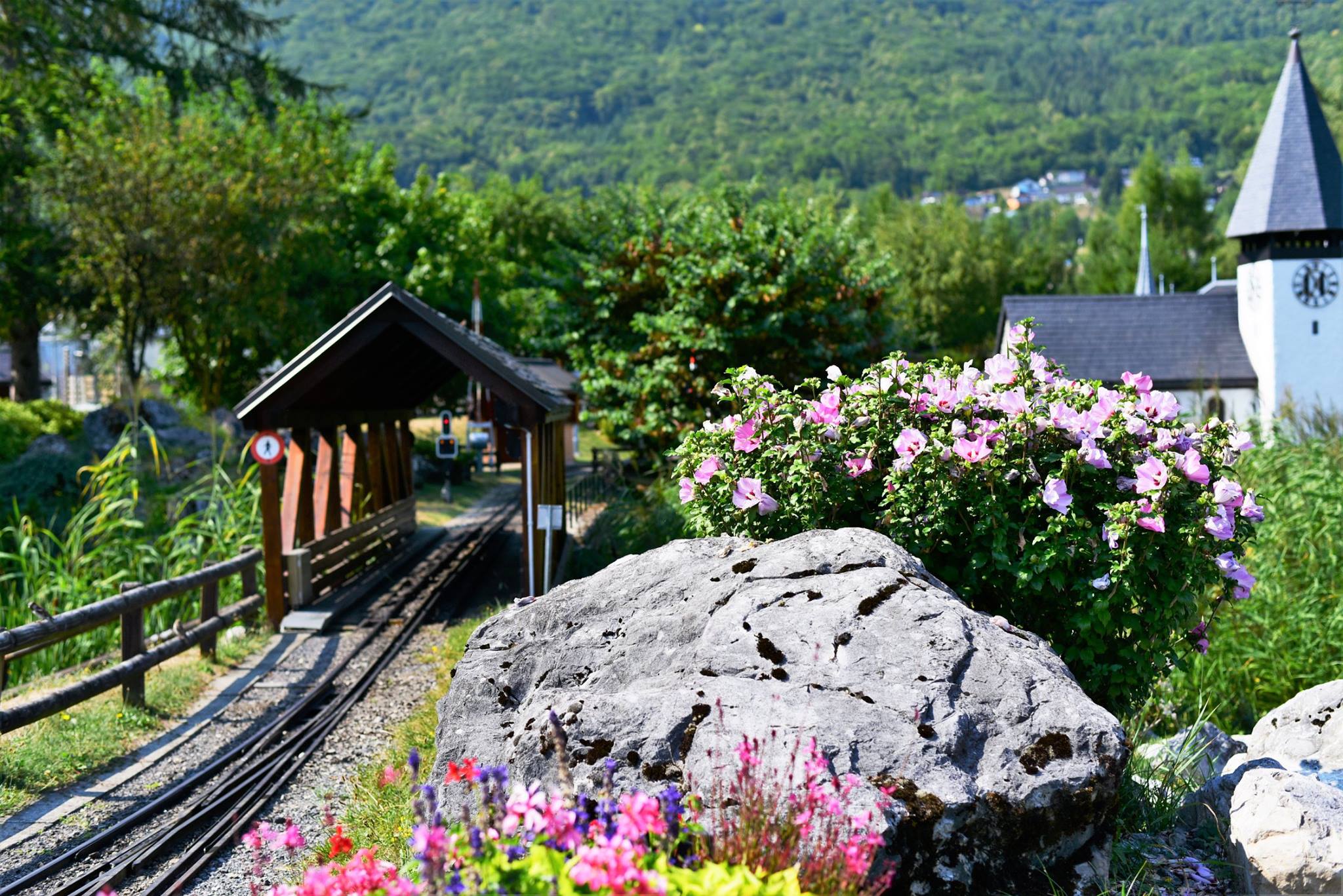 39467199_2063015110694143_4322687495964721152_o