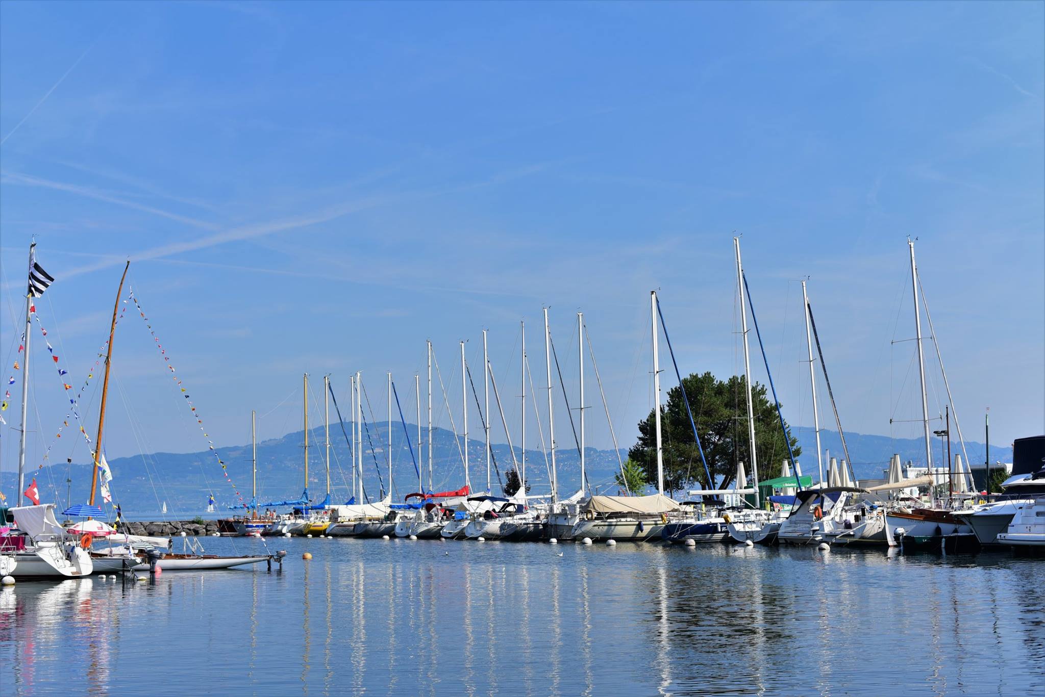 39498735_2063014470694207_3426767518566449152_o