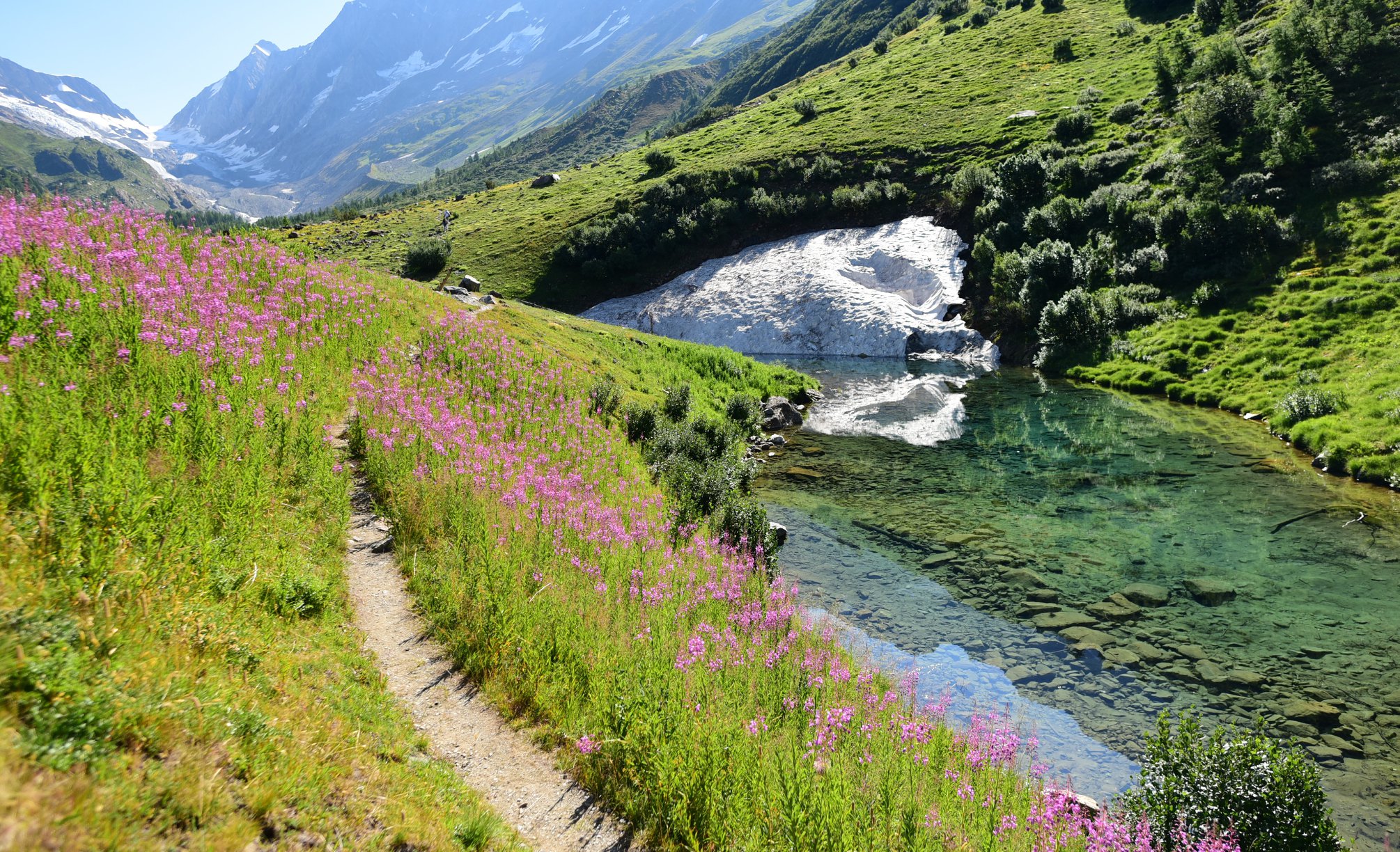 39605733_2065405980455056_2020481147229700096_o