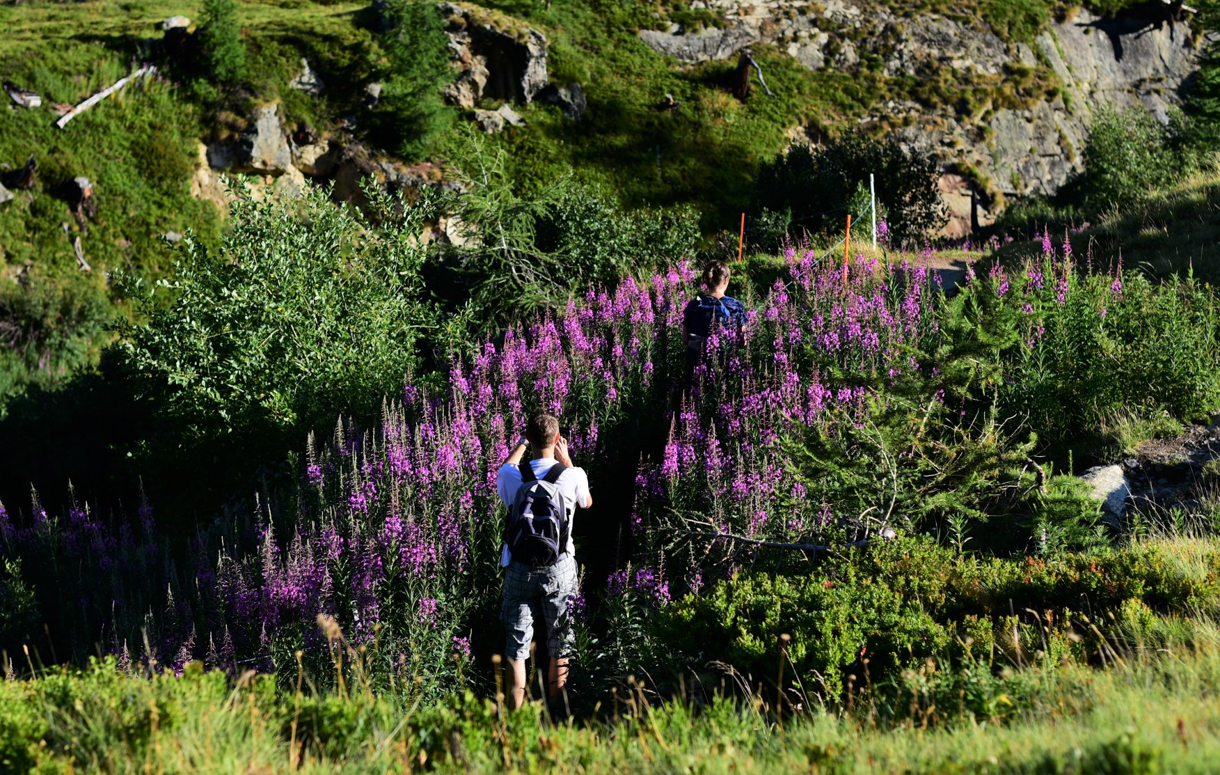 39608522_2065404397121881_8407554187369381888_o